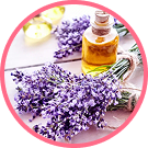 Lavender Extract