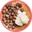 Shea Butter