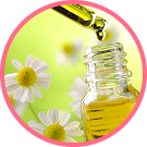 Chamomile Extract